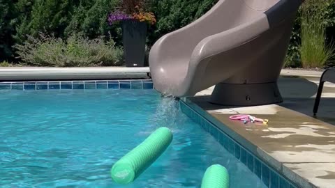 Surprisingly Intense Slide Doesn't Phase Niece