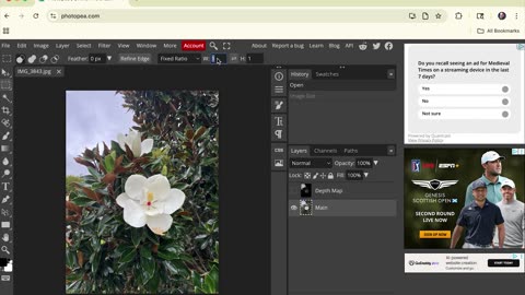 How to Crop & Resize Images for Vertical Video Using Photopea (Free Photoshop Alternative)