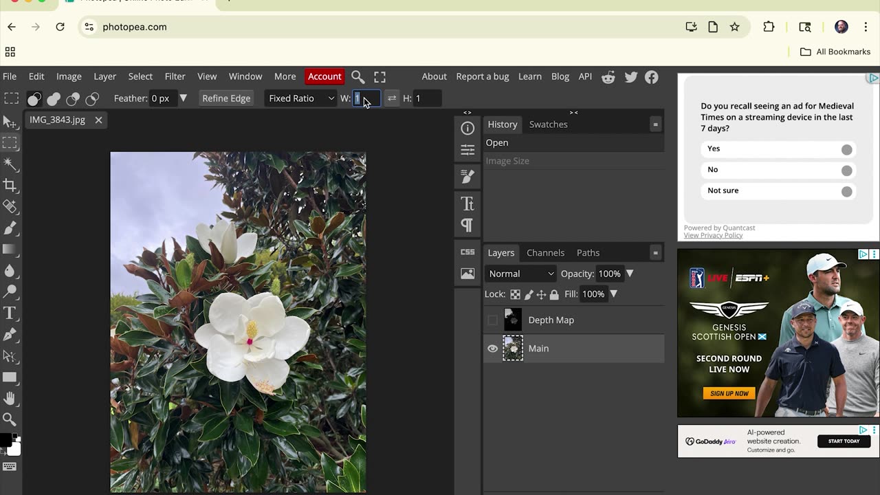 How to Crop & Resize Images for Vertical Video Using Photopea (Free Photoshop Alternative)