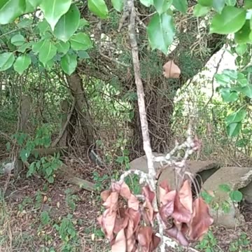 Positive Affirmation Music