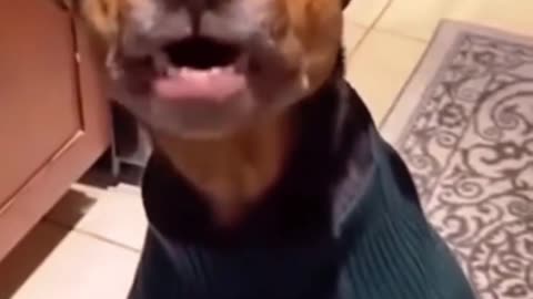 Meme viral