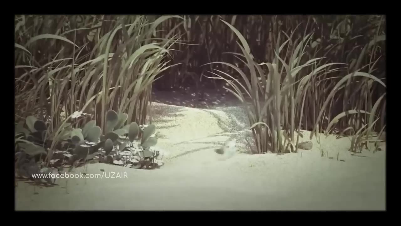 Animated Short Films - Motivational & Inspirational