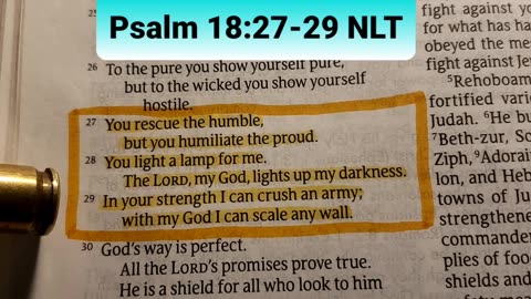 The LORD, my God, lights up my darkness. In your strength I can crush an army;