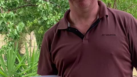 Recent tomatoes 🍅 picked at Jaya…