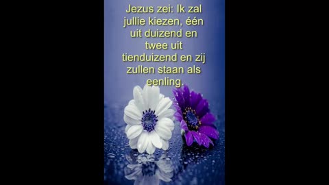 Ik zal