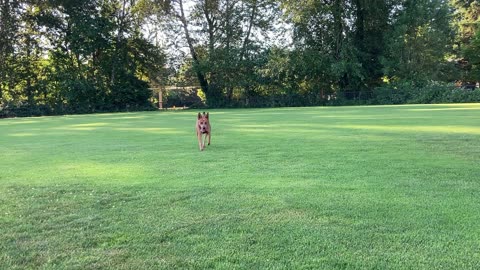 park hangout 32098432098432