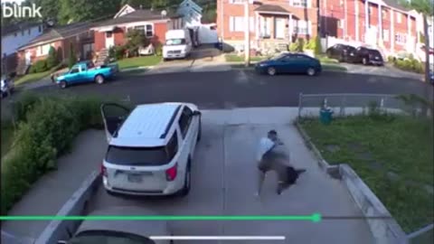 😂🦃 Turkey Chases Man Around Car! | FunFM
