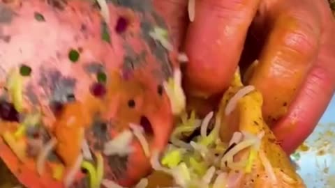 Chickens stuffed inside lamb cooked