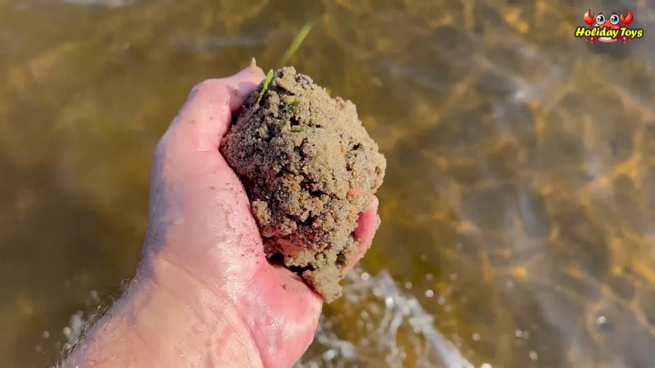 Penguin's Leg Was Injured While Climbing an Iceberg