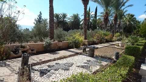 Prayer for February - Full Moon Feb 1 - New Year of Trees