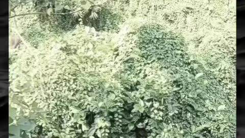 😱👹 This Paranormal Footage Will Haunt Your Dreams! | TheHauntingHour