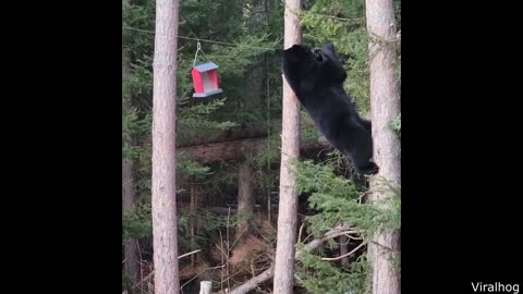 He Tried Sneaking in a Camera - Daily Does of The Internet