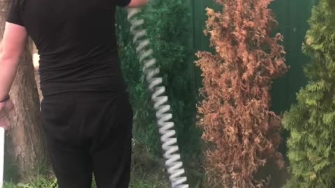 Painting The Hedges Green