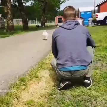 Unconditional love from animals! So cute and sweet