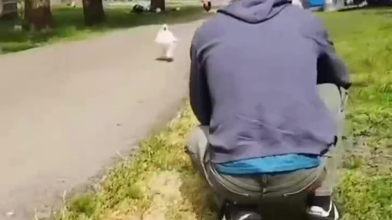 Unconditional love from animals! So cute and sweet