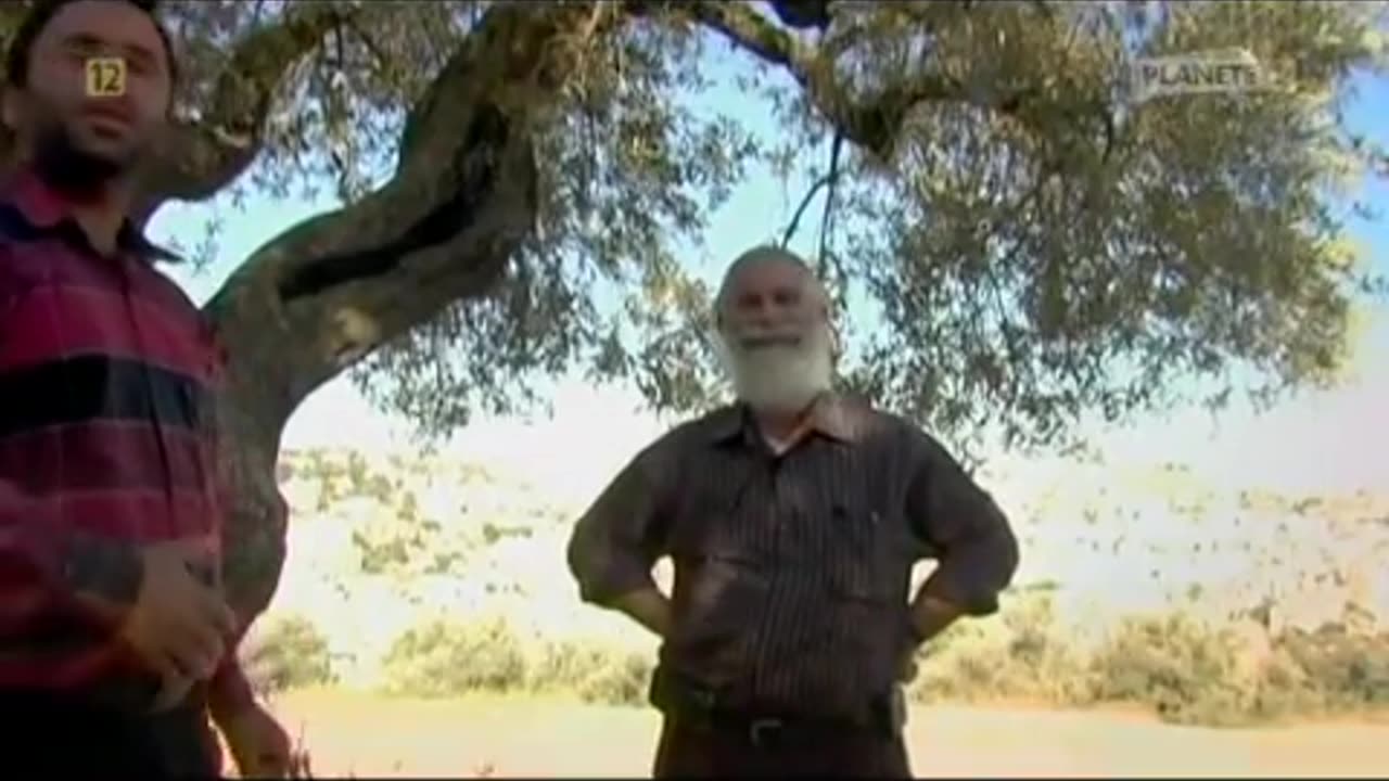 Żydzi nie uznają własności prywatnej Palestyńczyków