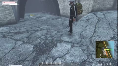 DayZ Solo survival gameplay