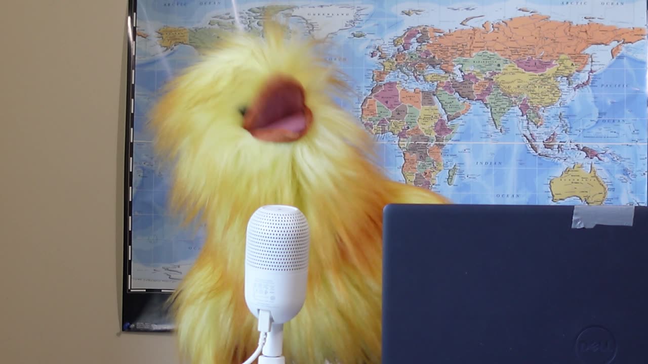CGPA Pupppet News Promises More International News Coverage This Fall