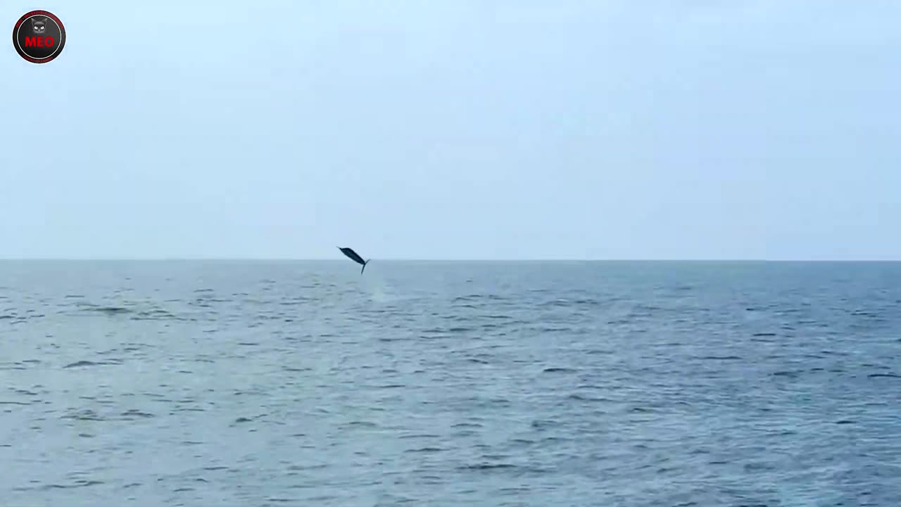 Incredible Moments Caught on Camera