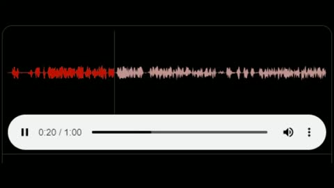 Chicago Police Scanner of 2 Officers Shot, One Killed [GRAPHIC]
