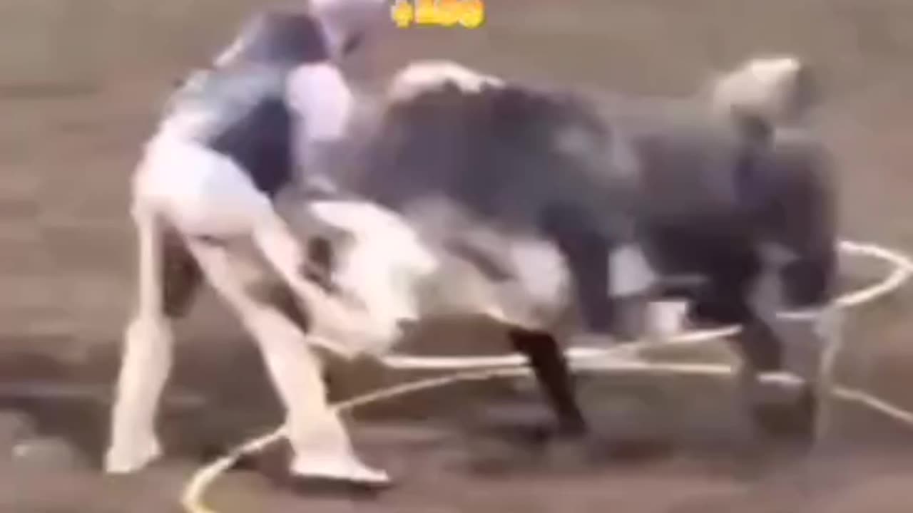 Temu Jackass Compilation 2