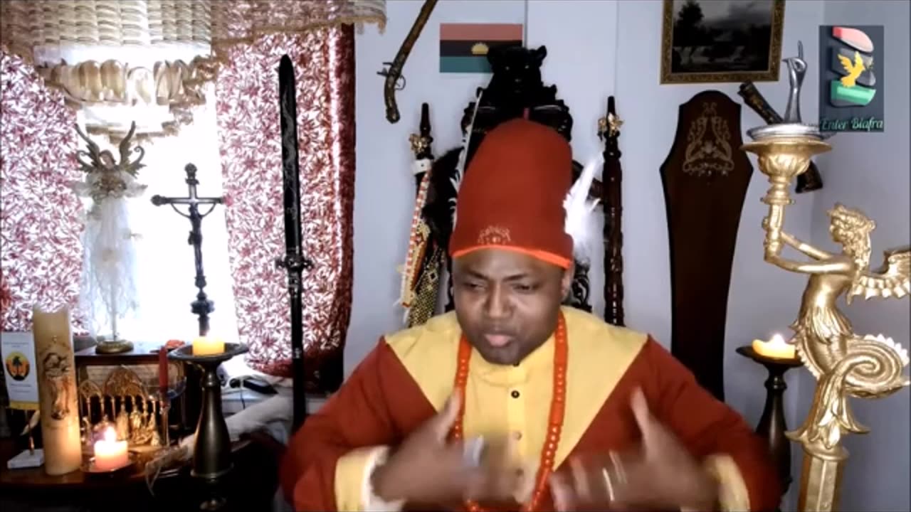 Why Should I Attack Dr Nelly Ofoegbu - Explaining Netherland, IDUU & Dutchland