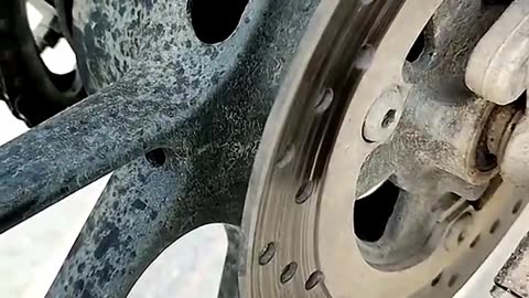 Rat in the house ❎ Rat in the wheel ✅
