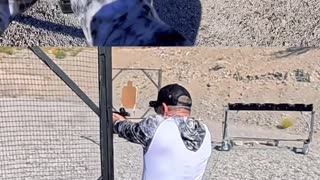 Stage 1 at My First USPSA Match