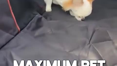 Waterproof Dog Car Seat Cover – Non-Slip Back Seat Protection PetBuds