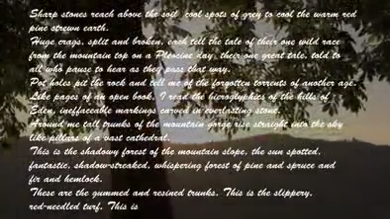 THE BOOK OF WHISPERINGS