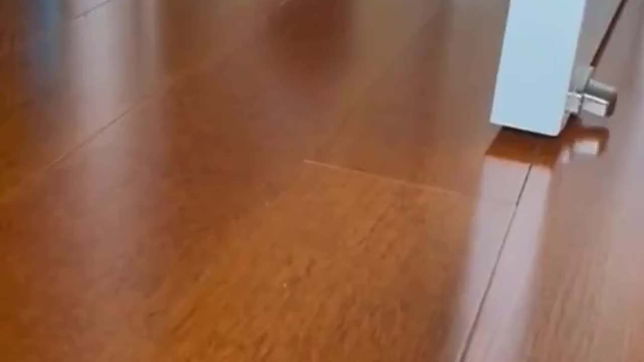 Call Ducks