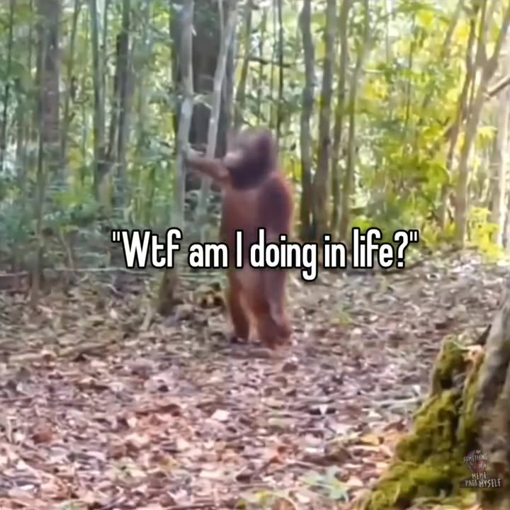 Wtf am I doing in my life