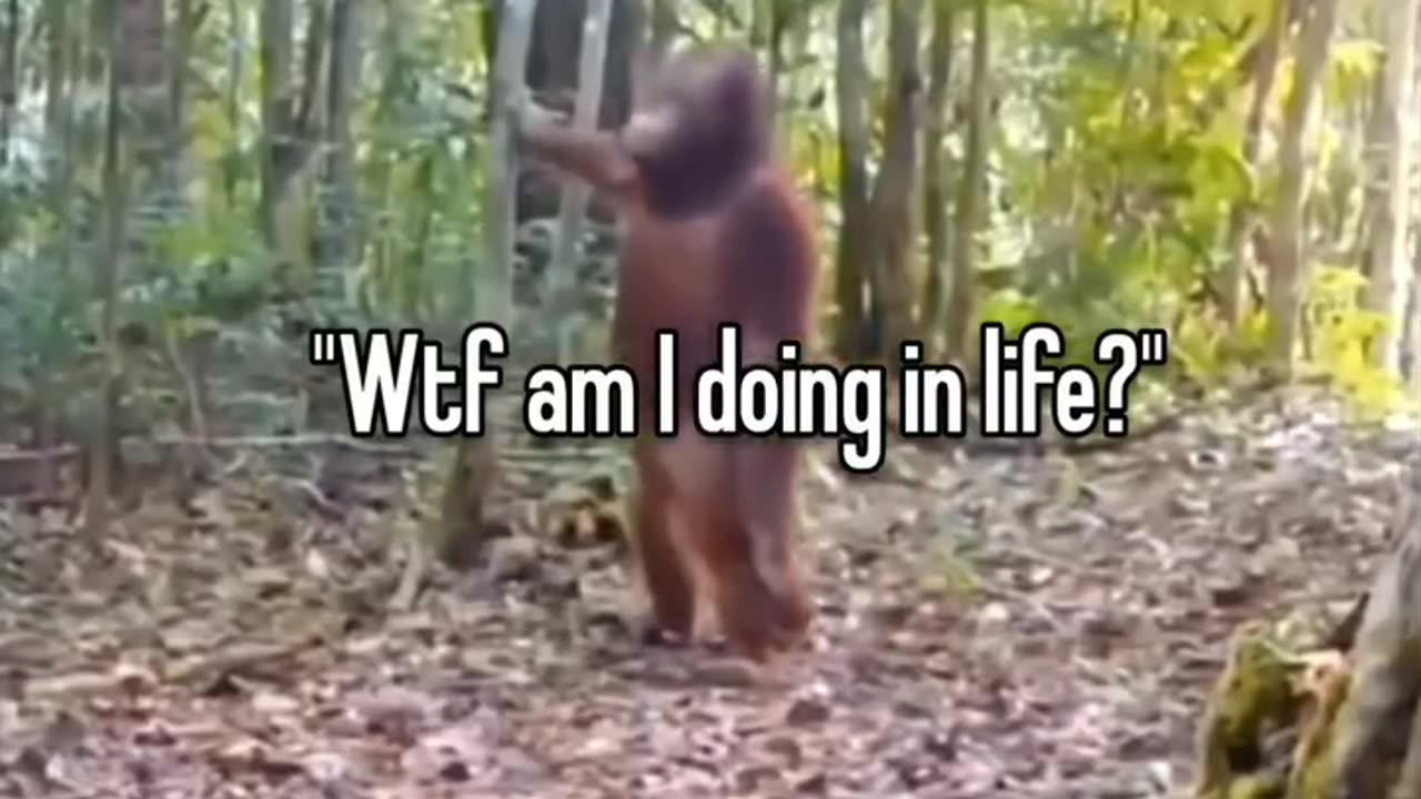 Wtf am I doing in my life