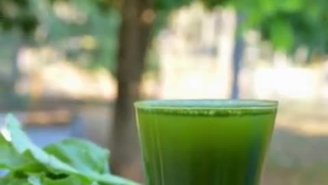 Two benefits of drinking spinach juice