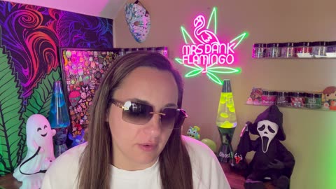 Which of these 3 Shop Hello Mary Products is the Best? Mrs Dank Flamingo!