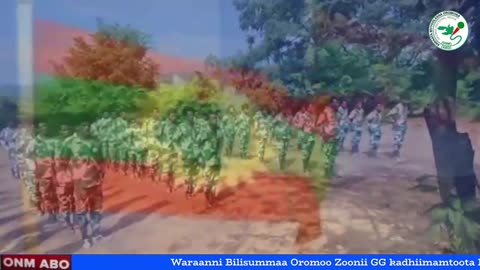 Qophii Eebba ONM-ABO Sadaasa 13-2025 itti dhiyaadhaa!