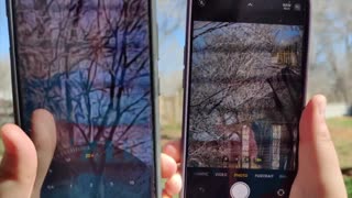 The Ultimate OnePlus12R Camera Review