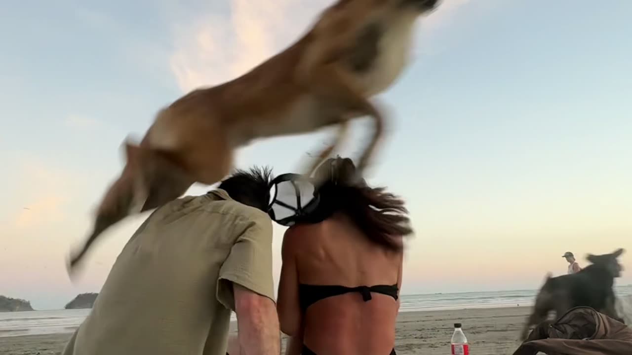 This Was Meant to be a Romantic Video...🤣