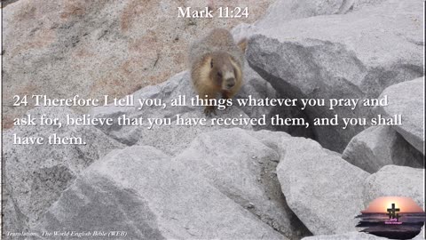 Mark 11:24