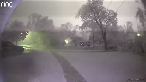 Tree Breaks During Storm in Kalamazoo