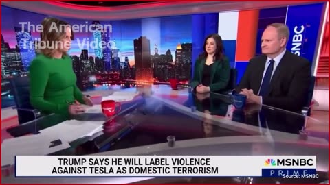 WATCH: MSNBC Host Justifies Violent Attacks on Tesla Dealerships