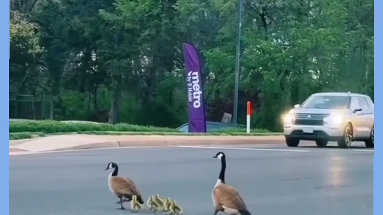 How to make tik tok funny shorts viral video