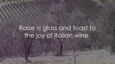 🍇🍷 Explore Italy's Wine Wonderland: A Journey Through Regions And Grapes 🍷🌍