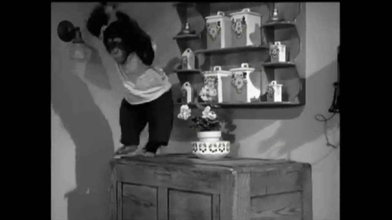 Lassie - Episode 172 - 'The Watch Dog'