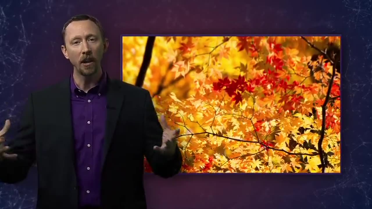 Tgc1350 S01e13 Molecular Orbital Theory-14