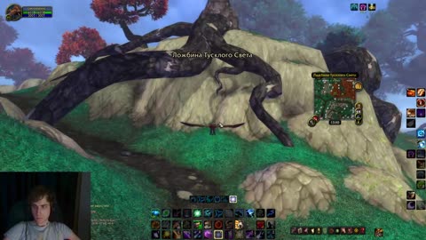 🍄Вечерний фарм жетона | Друид | MoP Classic🍄