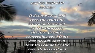 Matthew 12:33 - Daily Bible Verse Commentary