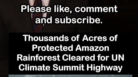 Amazon Rainforest Bulldozed to Build Highway for UN Climate Summit