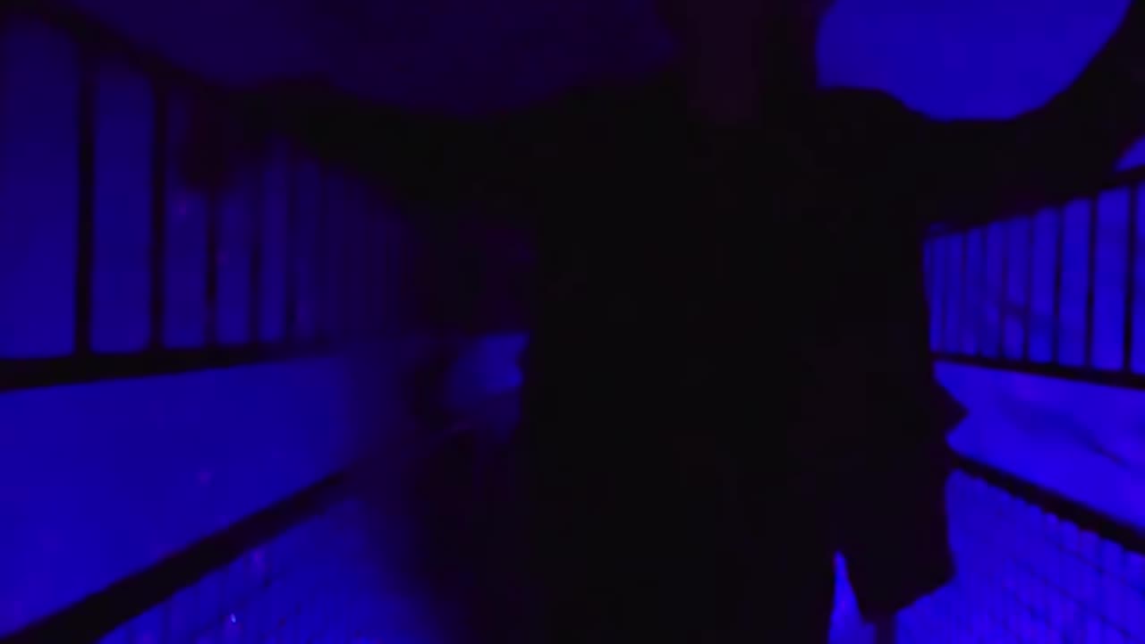 🇨🇿 POV: When the room is spinning but you haven’t had a drink… yet! 😵🍸Gravity? Never heard of her. 🙃