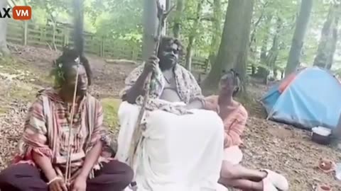 niggers have arrived in the The Woodlands Of Scotland